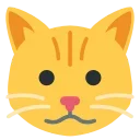 🐱