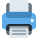 🖨️