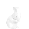 🦴