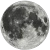 🌕