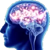 🧠