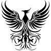 📽