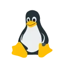 💻
