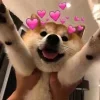 😍