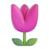 🌷