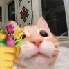 🌹