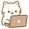 💻