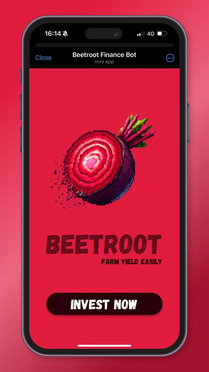 Beetroot Finance — screenshot 5