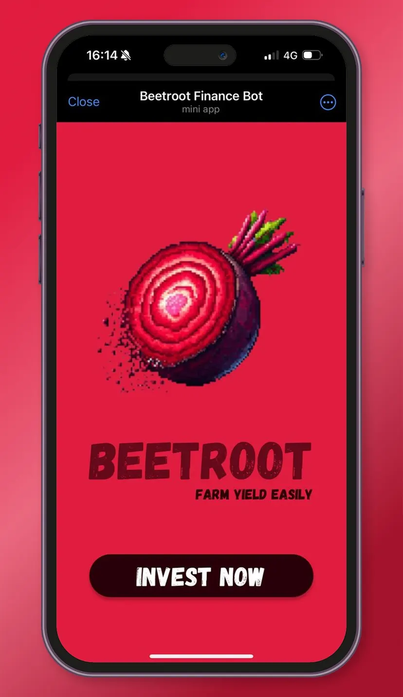Beetroot Finance — screenshot 2