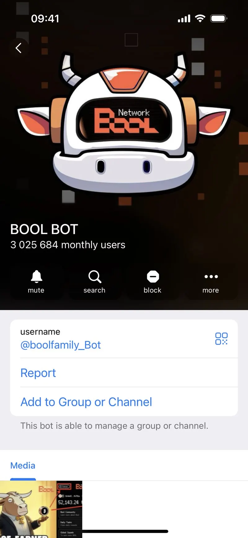 BOOL BOT — screenshot 2