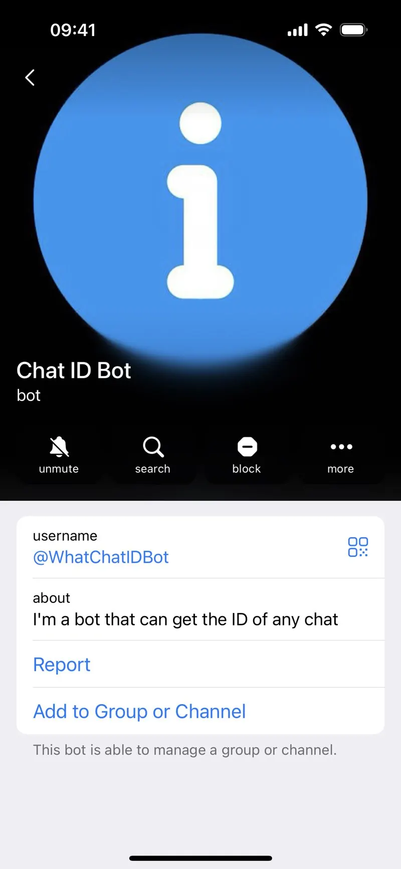 Chat ID Bot — screenshot 2
