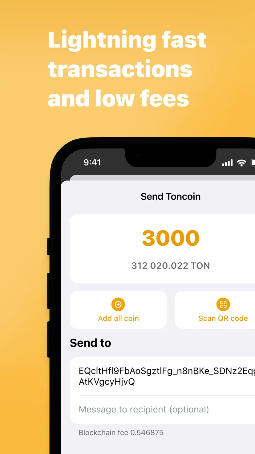 Development Wallet — screenshot 3
