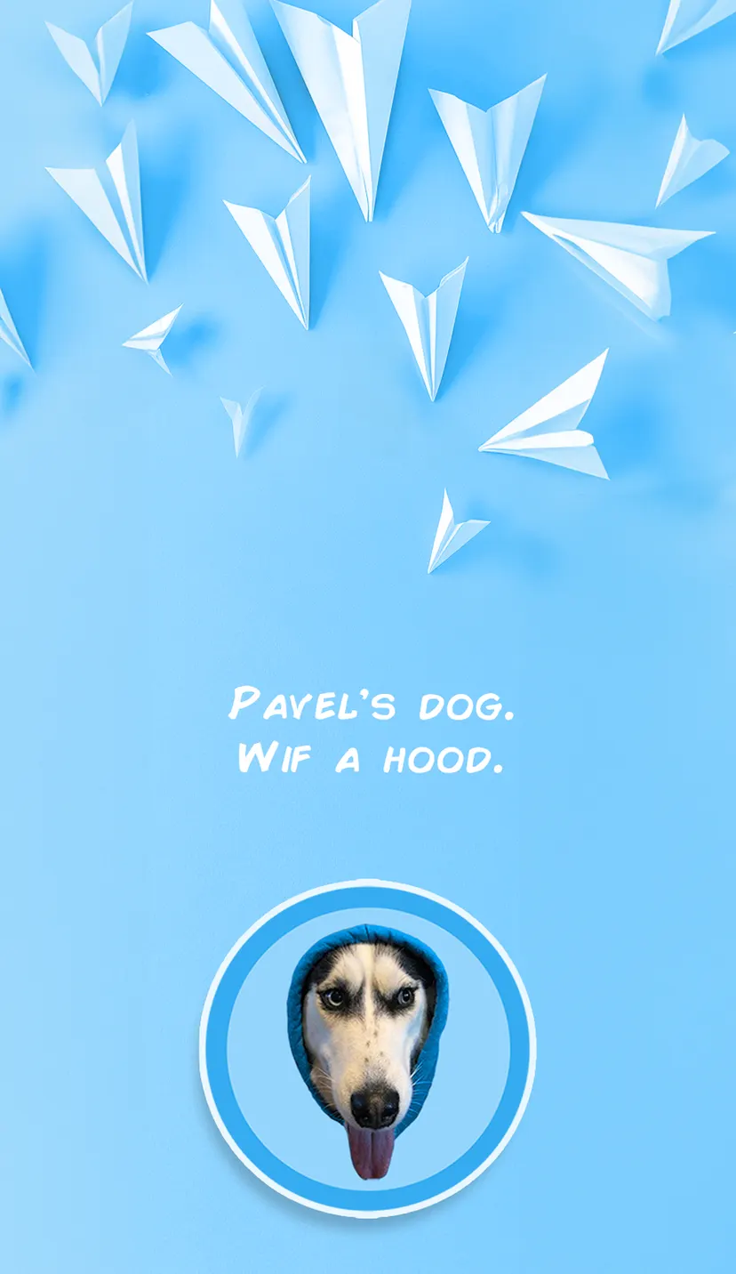 DOGWIFHOOD — screenshot 2