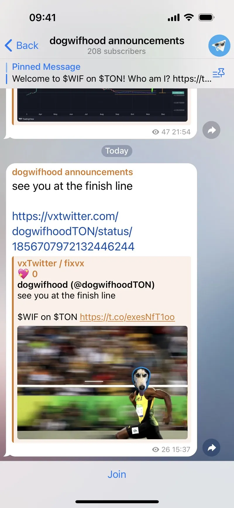 DOGWIFHOOD — screenshot 4