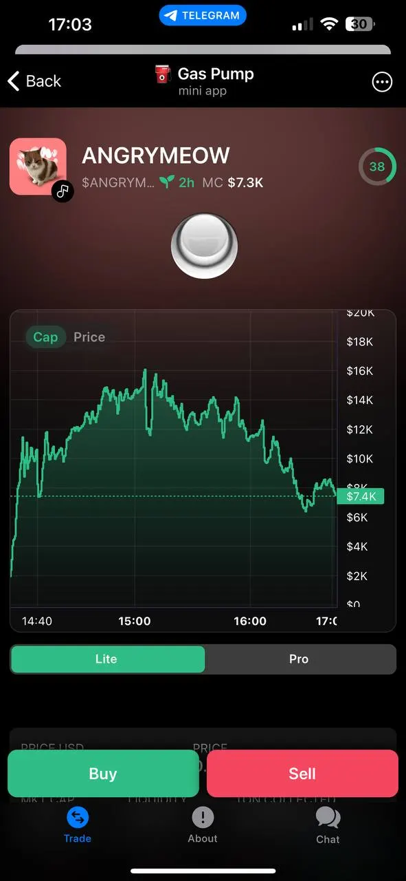 GasPump — screenshot 3