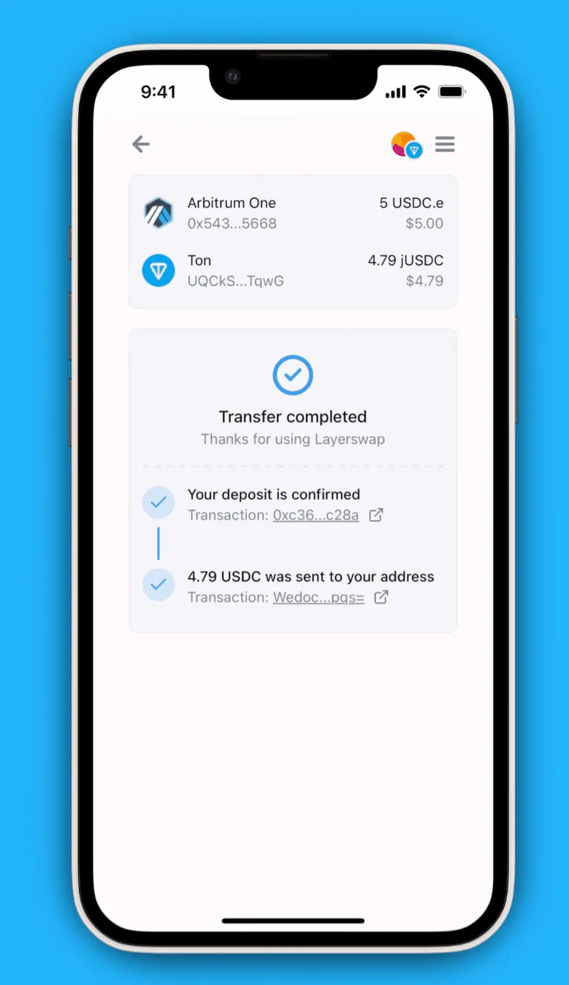Layerswap — screenshot 2