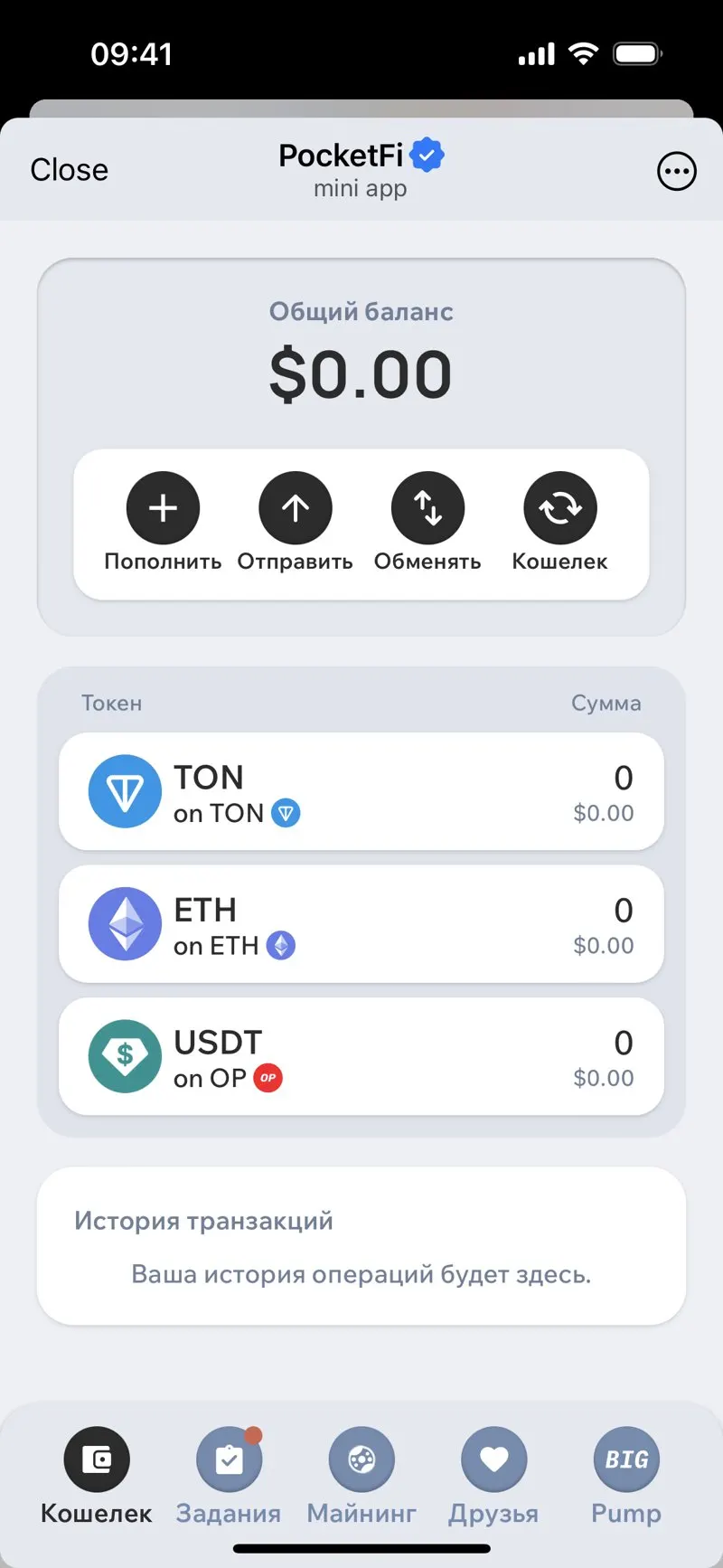 PocketFi — screenshot 3