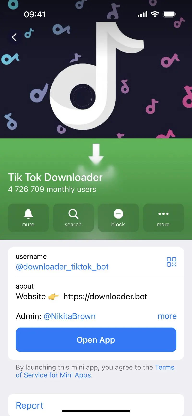 TikTok Downloader — screenshot 2