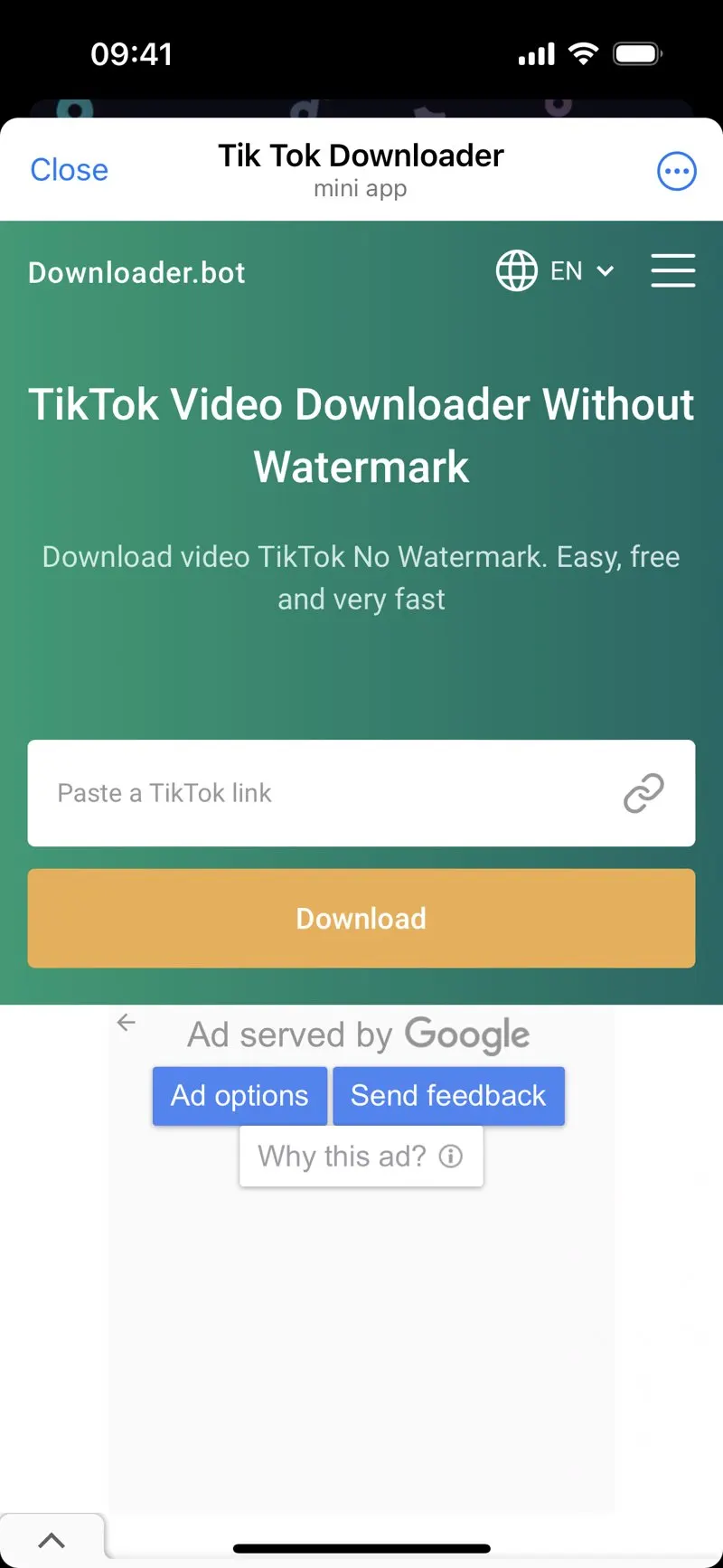 TikTok Downloader — screenshot 3