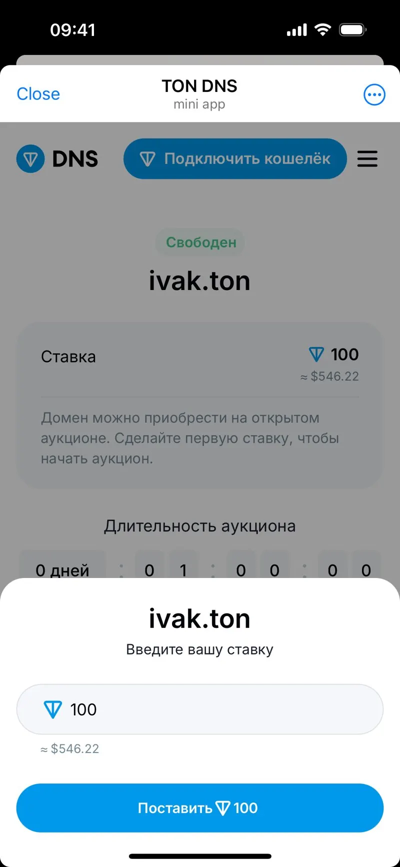 TON DNS — screenshot 2