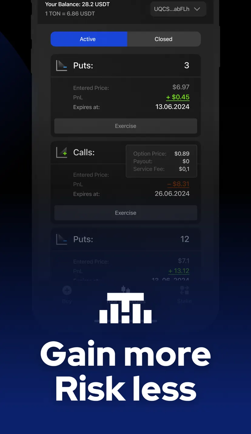 TON Hedge — screenshot 5