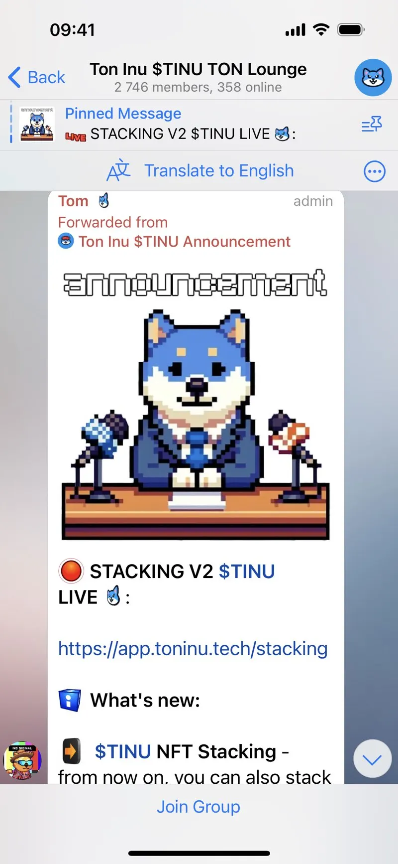 TON INU Launchpad — screenshot 8