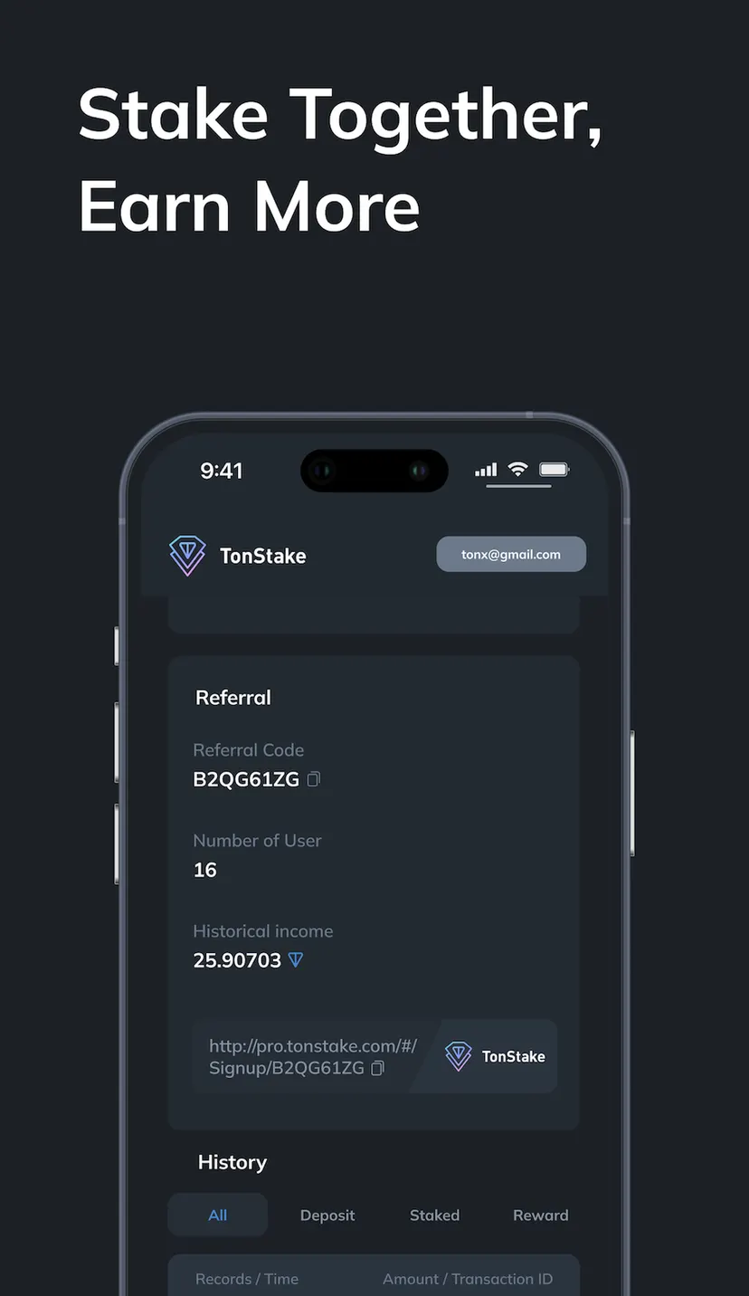 TonStake.com — screenshot 5