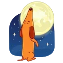 🌕