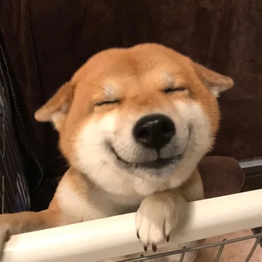 😊
