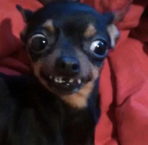 🥴