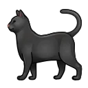 🐈⬛