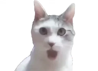 крутые коты — Telegram sticker pack