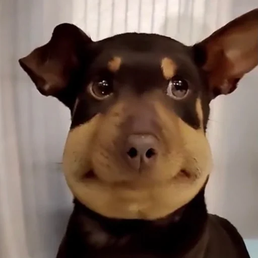 😬