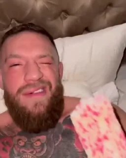 🦍 Conor McGregor — Telegram sticker pack