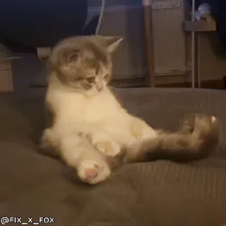 Милые котики — Telegram sticker pack