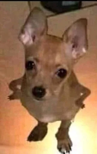 😠