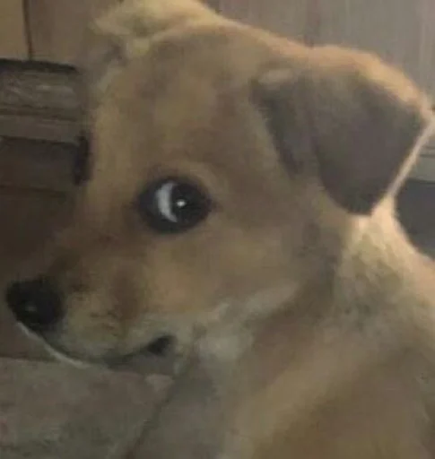 🧐