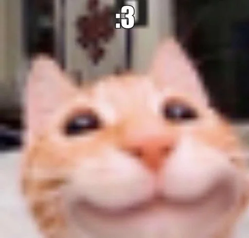 😏