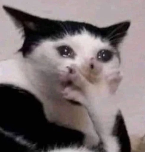 😢