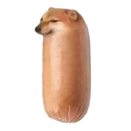 🌭