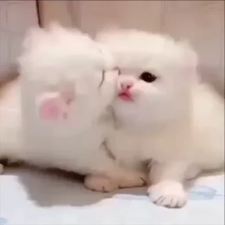 💕
