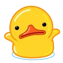 🤷♂️