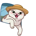 👋