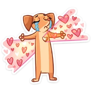 ❤️
