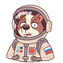 ⭐