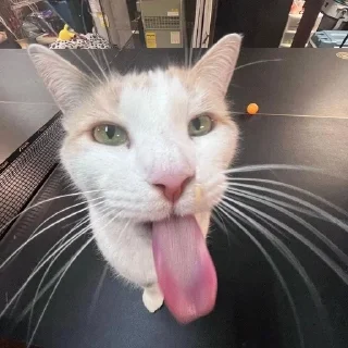 😜