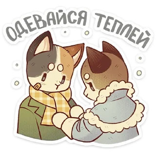 🐱