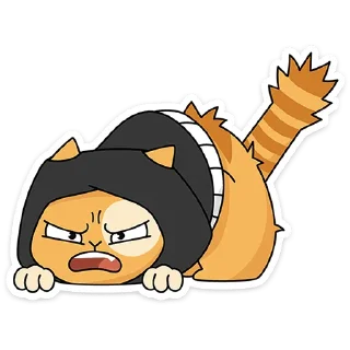 🐱