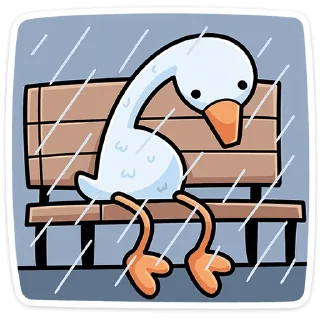 ⭐