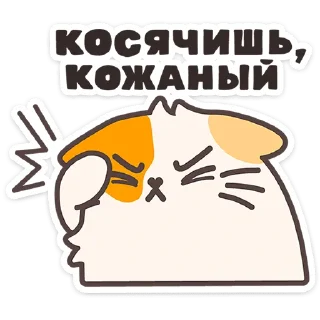 🐱